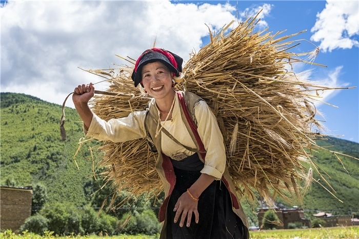 康定市甲根壩鎮(zhèn)青稞豐收，農(nóng)牧民臉上洋溢著豐收的喜悅。林革文攝