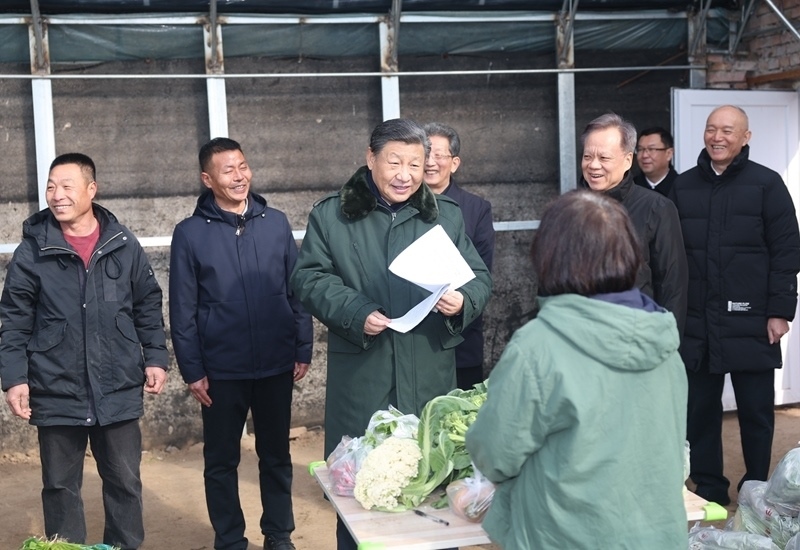 2024年2月1日，習(xí)近平總書記在天津市西青區(qū)辛口鎮(zhèn)第六埠村，走進(jìn)大棚同菜農(nóng)親切交流。