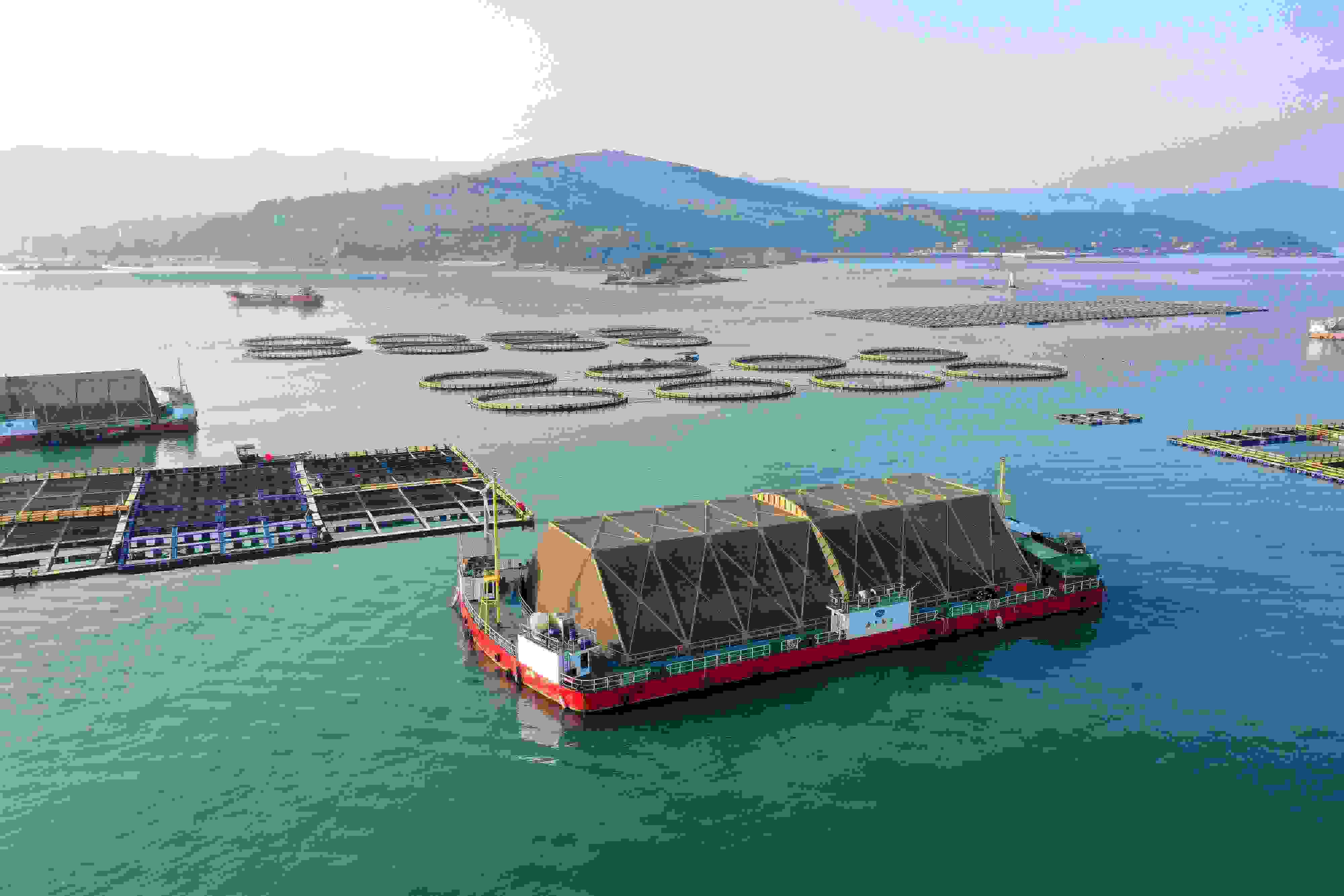 2024年9月10日拍攝的福建省福州市連江縣定海灣海域的現(xiàn)代化“海上糧倉”。