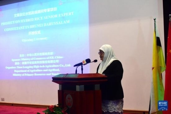 10月26日，文萊初級資源與旅游部常任秘書圖蒂亞蒂在斯里巴加灣市出席中國與文萊雜交水稻高級專家顧問項目啟動儀式。新華社記者 李萌 攝