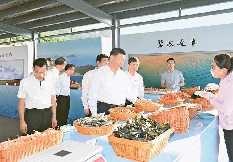 2024年10月15日至16日，中共中央總書記、國家主席、中央軍委主席習近平在福建考察。這是15日下午，習近平在漳州市東山縣陳城鎮(zhèn)澳角村考察時，了解海鮮干貨和漁獲產(chǎn)品交易情況。 新華社記者 謝環(huán)馳/攝