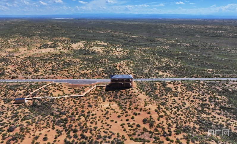 古浪縣一代代人治沙不息，讓綠色向沙漠深處不斷延伸（央廣網(wǎng)記者 李紅軍 攝）