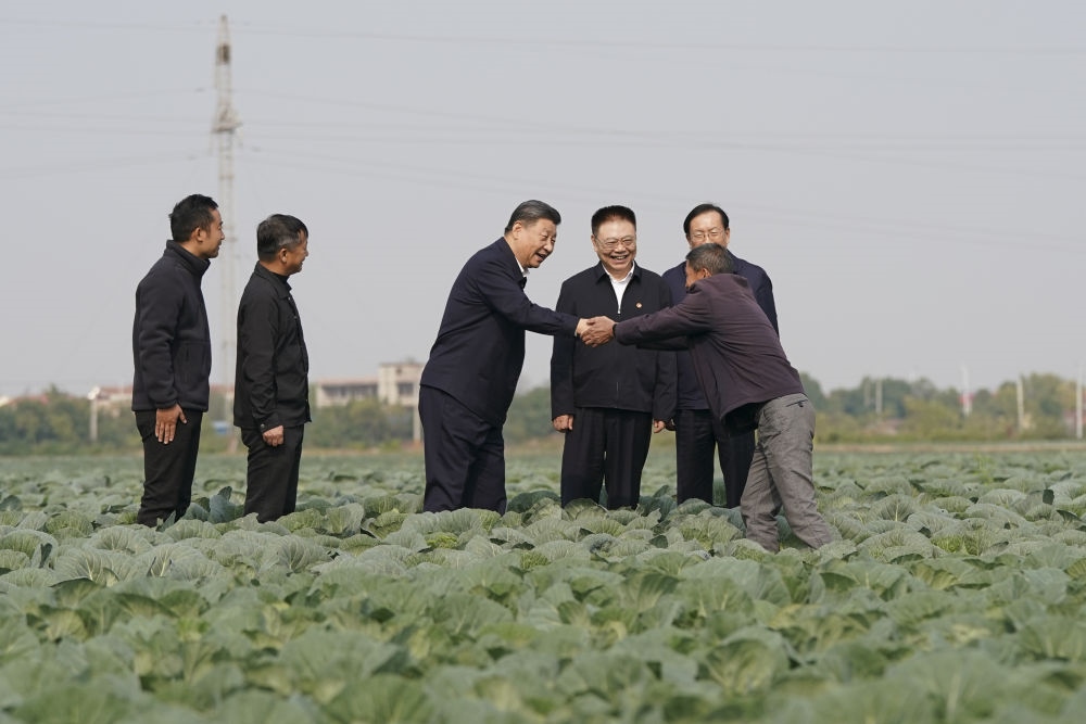 2024年11月5日，習近平在咸寧市嘉魚縣潘家灣鎮(zhèn)十里蔬菜長廊考察時，同菜農(nóng)親切交流。