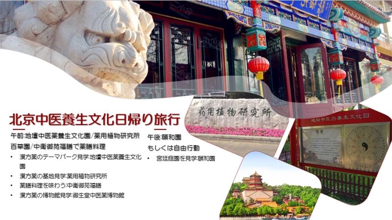 “你好！中國·休閑旅游—中國旅游說明會”宣講材料。中國駐東京旅游辦事處供圖