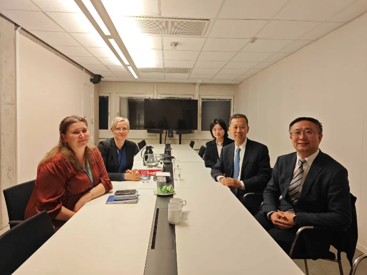 中國駐瑞典大使崔愛民會見瑞典聯(lián)合國教科文組織全國委員會秘書長。中國駐瑞典大使館供圖