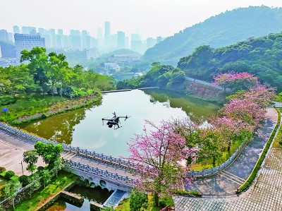 無(wú)人機(jī)在深圳塘朗山郊野公園里巡檢。新華社發(fā)