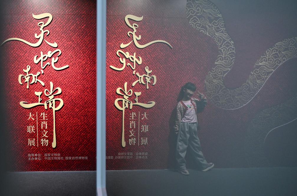 1月18日，一名小朋友在國家自然博物館舉辦的“靈蛇獻(xiàn)瑞——2025乙巳蛇年生肖文物大聯(lián)展”展覽中拍照留念。（新華社記者 陳鐘昊 攝）