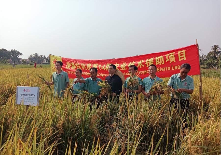 中國駐塞拉利昂大使王擎和援塞農(nóng)業(yè)專家組合影。中國援塞農(nóng)業(yè)專家組供圖