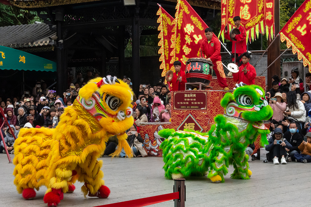 圖為廣東省佛山市祖廟的醒獅表演。