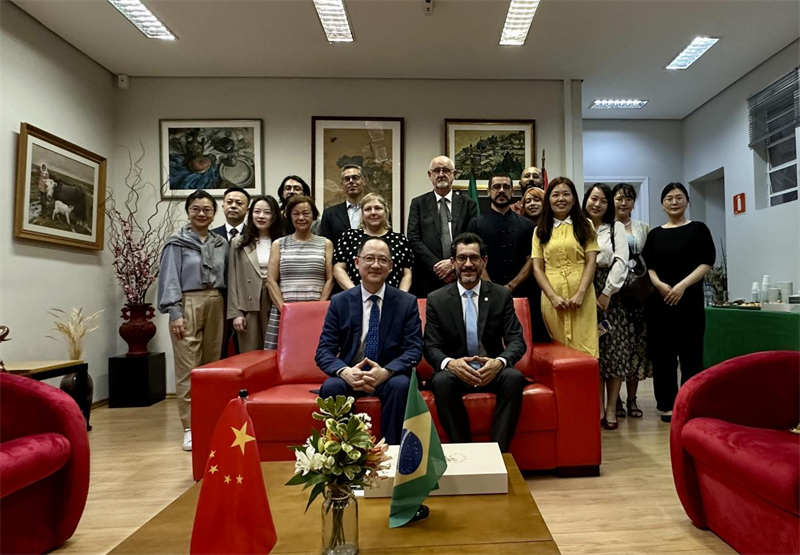圖為參加座談會的來賓合影留念。 圣保羅州立大學(xué)孔子學(xué)院供圖