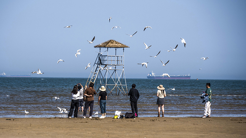 2024年5月12日，河北秦皇島，北戴河鴿子窩公園成群海鷗在天空中自由翱翔，與大海、藍(lán)天構(gòu)成了一幅美麗的畫(huà)卷。
