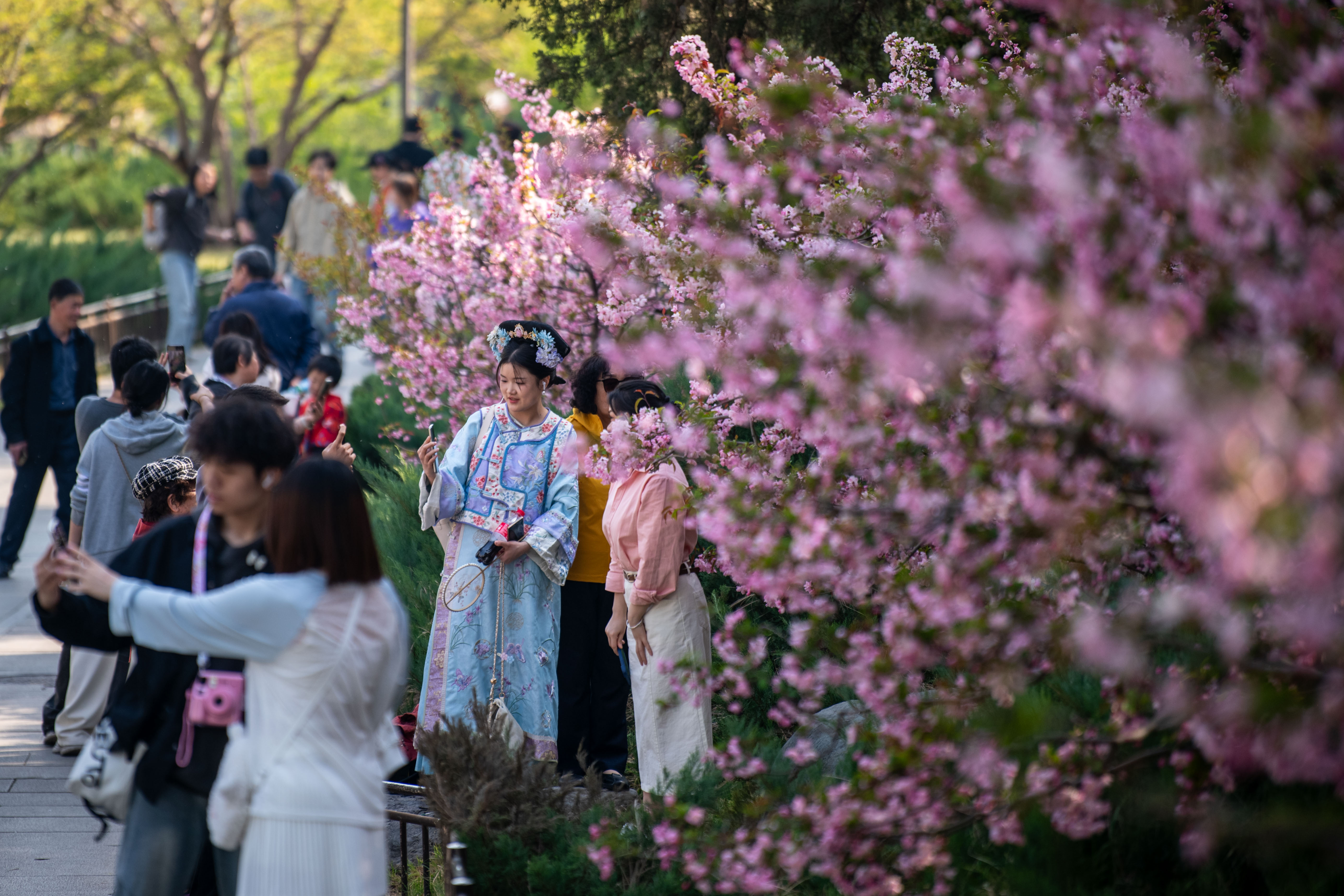 2025年4月6日，北京北海公園，滿園春色醉游人。人民網(wǎng)記者 翁奇羽攝