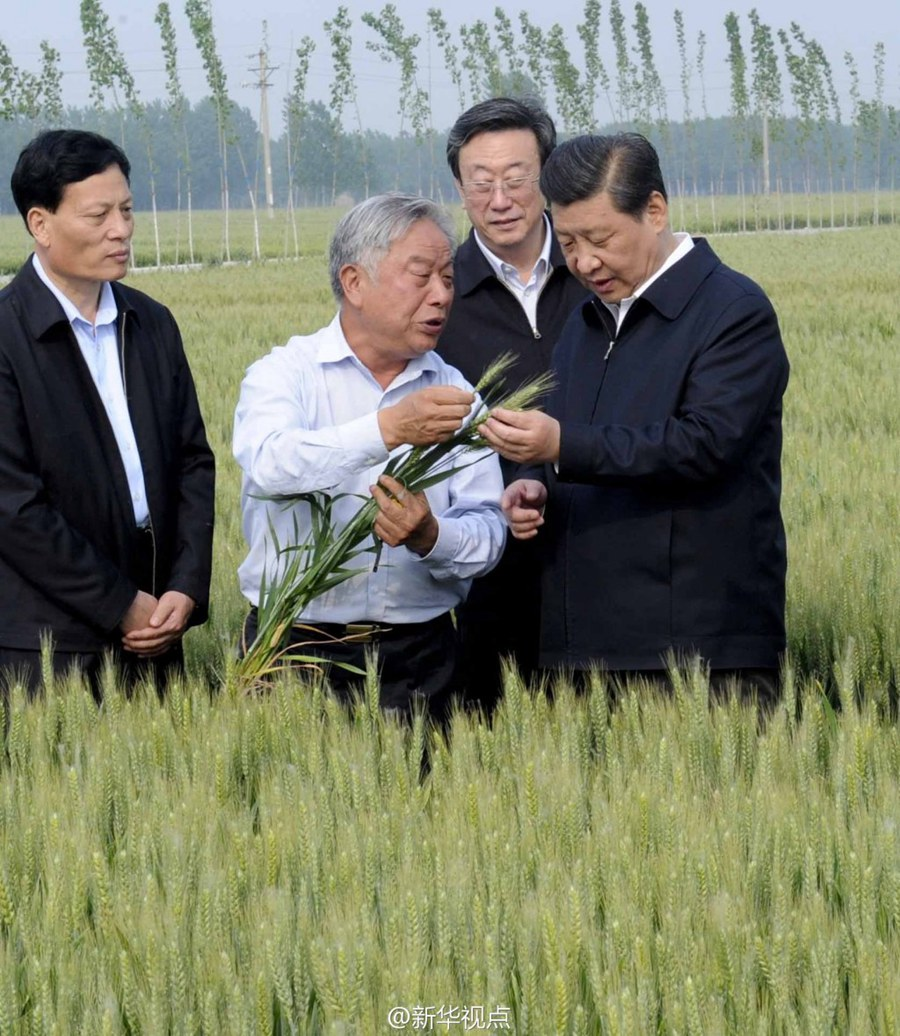 2014年5月，習(xí)近平總書記在河南省尉氏縣張市鎮(zhèn)高標(biāo)準(zhǔn)糧田察看小麥長勢。
