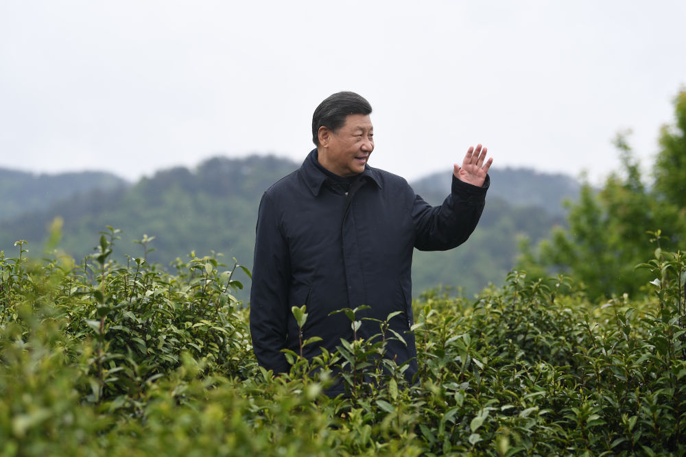2020年4月21日，習(xí)近平總書記來到陜西安康市平利縣老縣鎮(zhèn)，在茶園考察脫貧攻堅情況。新華社記者 燕雁 攝