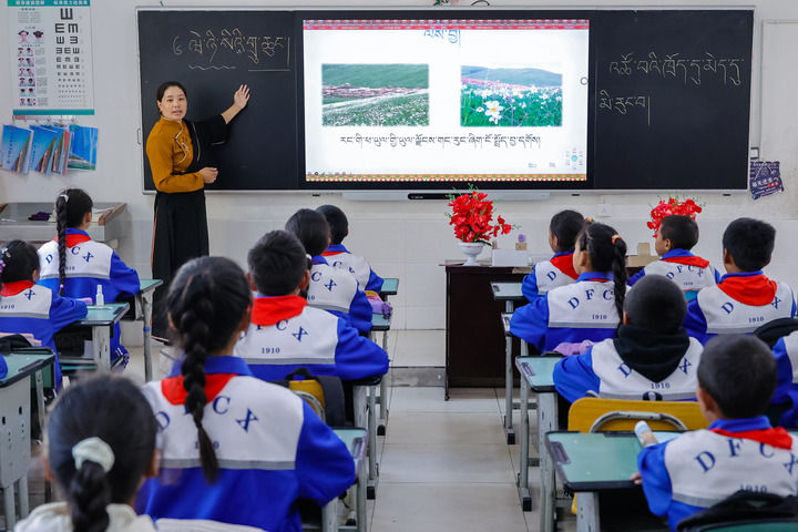 2024年9月27日，在四川省甘孜藏族自治州道孚縣城關(guān)第一完全小學(xué)，采取“藏加模式”教學(xué)的五年級(jí)一班的藏語(yǔ)文課上，準(zhǔn)木周老師指導(dǎo)藏族學(xué)生以家鄉(xiāng)草原風(fēng)物為主題寫(xiě)作藏語(yǔ)文作文。新華社記者 沈伯韓 攝